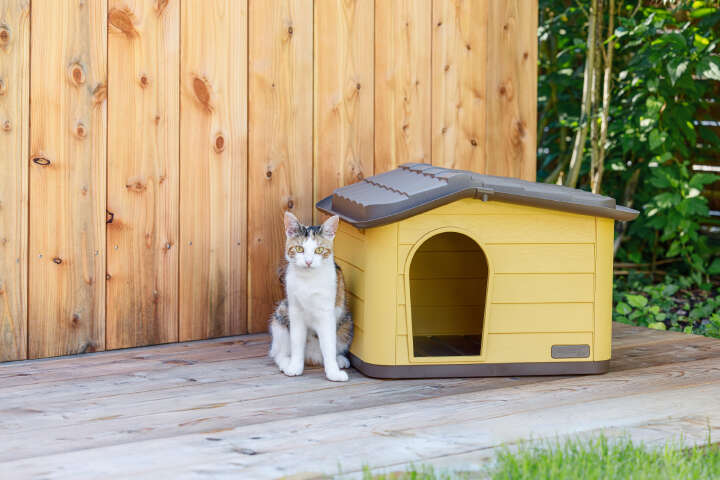 KERBL Katzenhaus Paola Eco